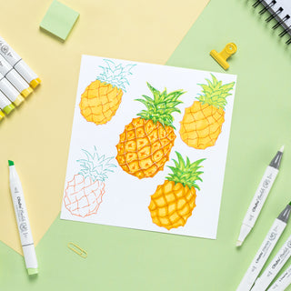 Ohuhu Honolulu 24 Basic Colors Dual Tips Alcohol Art Markers (New Color Codes)