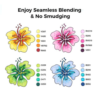 Ohuhu Oahu 60 Colors Dual Tips Alcohol Art Markers, Fine & Chisel (Brazil Domestic Shipping)